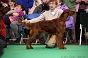 Crufts2011 198